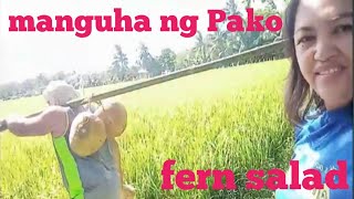 PAANO MANGUHA NG PAKO | FERN SALAD | vlog#12