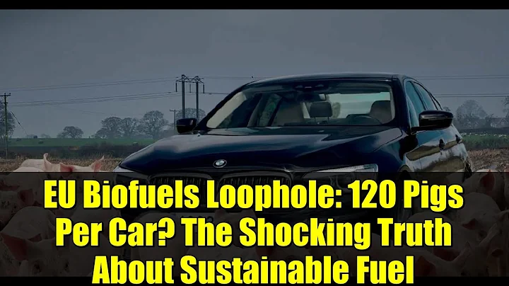 EU Biofuels Loophole: 120 Pigs Per Car? The Shocking Truth About Sustainable Fuel