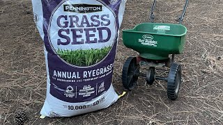 Pennington Annual Ryegrass and My Thoughts On Winter Overseeding My Bermuda Lawn In Texas