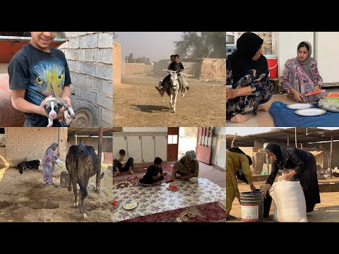 أسرار و حكايات من حياة العشائر العربية في إيران اشتراک و خل ک وی انه بهالرحلة