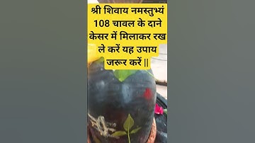 श्री शिवाय नमस्तुभ्यं 108 चावल के दाने केसर में मिलाकर रख ले करें यह उपाय जरूर करें || #shotsvideo