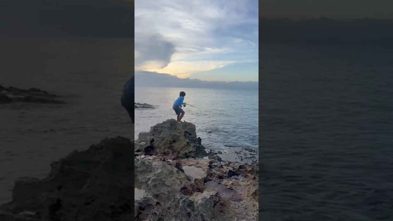 MOST MASSIVE GROUPER IVE EVER CAUGHT 😧 