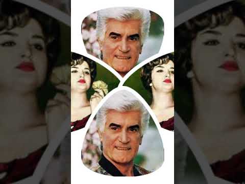 راز سکوت یکی از زیباترین ترانه های دو صدایی زنده یاد ویگن و پوران 