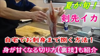 夏が旬 剣先イカを自宅でお刺身までする方法 身を甘くなる切り方 裏技 も紹介しています 剣先イカ イカの捌き方 裏ワザ Youtube 夏が旬 剣先イカを自宅でお刺身までする方法 身を甘くなる切り方 裏技 も紹介しています 剣先イカ イカの捌き方 裏ワザ Youtube