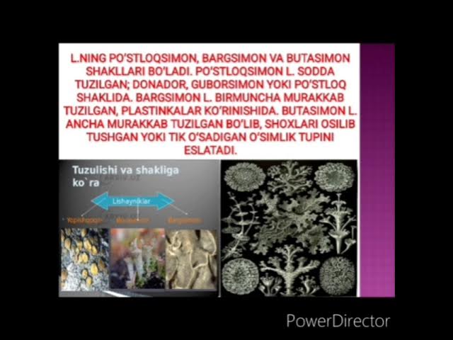 Ferro Network лесбиянка порно смотреть онлайн