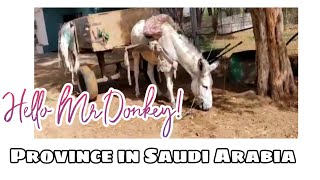 Hubby's Vacation At Dammam Saudi Arabia| Part 1 by Avril's Channel 443 views 2 years ago 4 minutes, 35 seconds