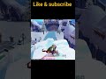 #viral #shorts #like #shere #comment #subscribe #support #song #music
