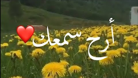 أرح قلبك-قرآن كريم بصوت خالد الجليل /حالات واتساب دينية /مقاطع دينية قصيرة /مقاطع إنستقرام دينية