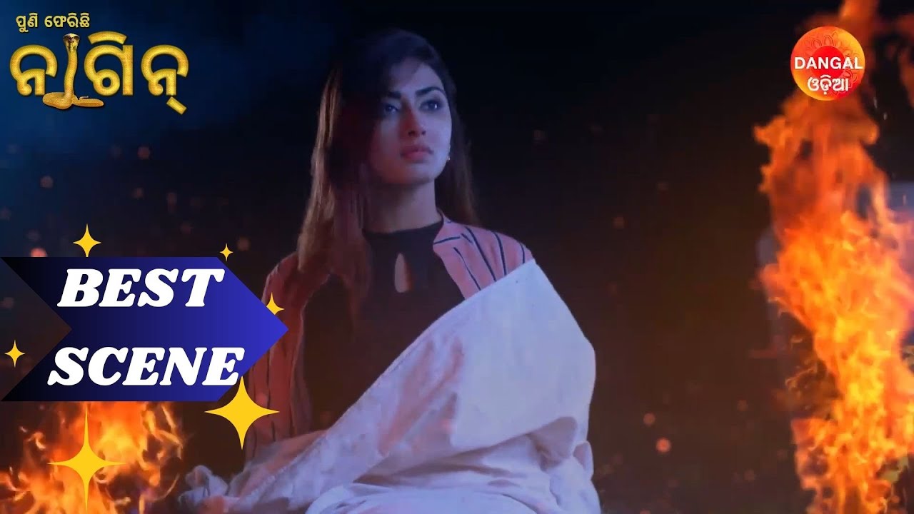 Puni Pherichi Naagin | Best Scene | Dangal Odia | ପୁଣି ଫେରିଛି ନାଗୀନ