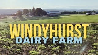 Windyhurst Dairy Farm | Westmoreland, NH