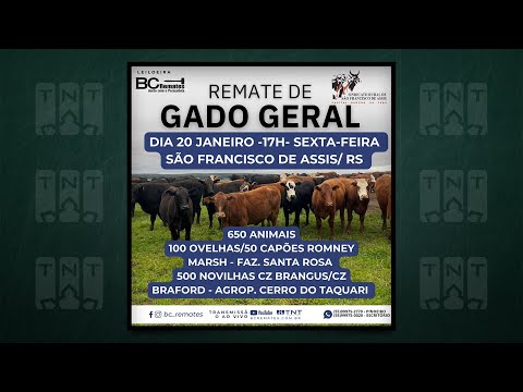 Gado Geral – São Francisco de Assis-RS – Bc Remates