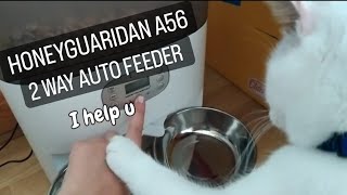 Honeyguaridan A56 2 Way Auto Feeder Unboxing, Assembly & Review