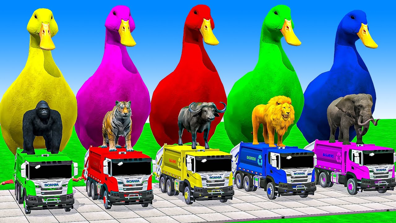 Long Slide Game With Cow Elephant Gorilla Hippopotamus Tiger - 3d Animal Game - Funny 3d Animals