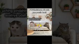 ada yang kaya gini juga ga nihhh??? #memes #meme #lucu #kucing