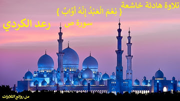 نِعْمَ الْعَبْدُ إِنَّهُ أَوَّابٌ }  تلاوة هادئة خاشعة من سورة ص .. رعد الكردي }