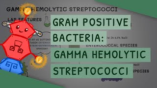 Gamma Hemolytic Streptococci by ATP 1,307 views 4 months ago 5 minutes, 9 seconds