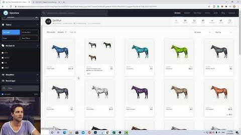 Zed Run - Buying your first horse