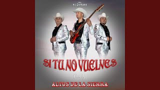 Video thumbnail of "Altos De La Sierra - Si Tu No Vuelves"
