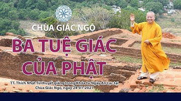 BA TUỆ GIÁC CỦA PHẬT - Thầy Nhật Từ giảng trong Khóa tu Ngày An Lạc tại Chùa Giác Ngộ - 24-01-2021