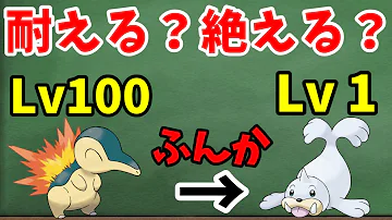 ポケモン 起死回生 ダメージ量