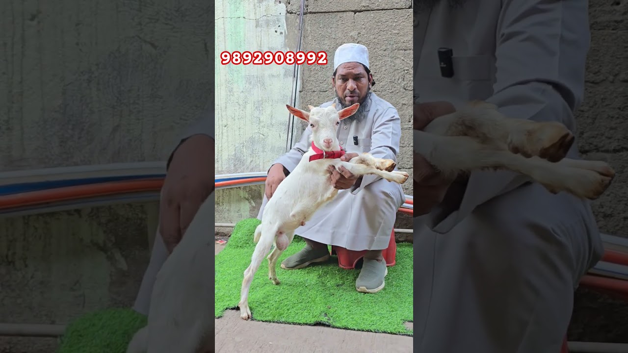 4 Se 5 month ka baccha 9892908992 