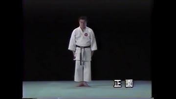 Kata Pinan godan and bunkai