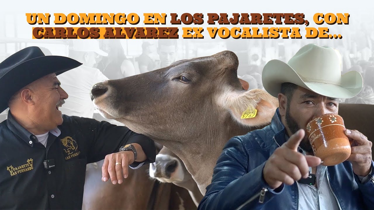 La VERDAD sobre los PAJARETES: ¿Te atreverías a probarlos?