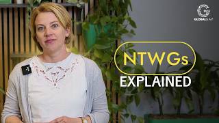 What are GLOBALG.A.P. National technical working groups