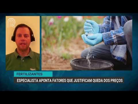 Canal Rural: Seu Portal de Notícias do Agronegócio Brasileiro