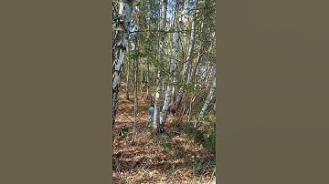 find two aliens, find alien#6, relax time, relax your mind, just try find two aliens, video for fun