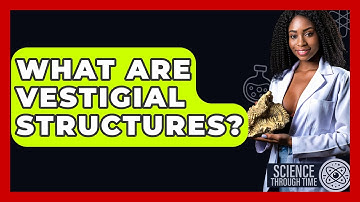 What Are Vestigial Structures? - Science Through Time