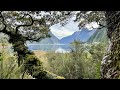 Nouvelle Zélande ( Fjord land , Sud Ouest de l’île du sud ) vol MILFORD SOUND Avril 23.
