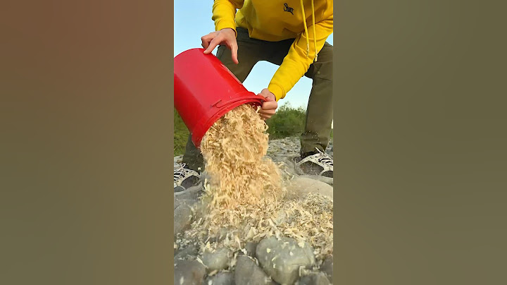 Survival Skills: Made a Sawdust Stove for Survival 🪵 #bushcraft #camping #survival #outdoors