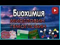 Биохимия. Лекция 5. Гемоглобин. Миоглобин.