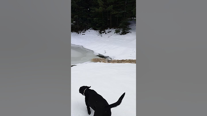 Flash Flood in the Snow  || ViralHog