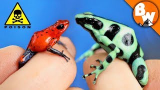 Which Poison Frog Can Kill You