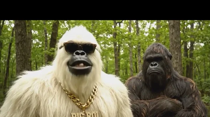 The original Real Bigfoot Vlogs: BIGFOOT VLOG- CAUGHT A PARK RANGER Real World from 3 weeks ago