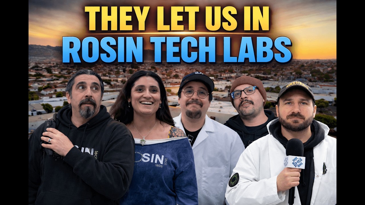 How a Professional Solventless Lab Scales Production