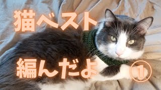 【かぎ針編み】猫ベスト編んでみた。猫のお洋服の編み方1/2