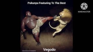 Pukunyu Featuring Tc The Best Song Vegodo