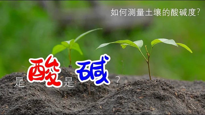 了解自家土壤酸鹼度，讓蔬果越長越好 / 如何測量土壤的酸鹼度？【種菜養花】 - 天天要聞