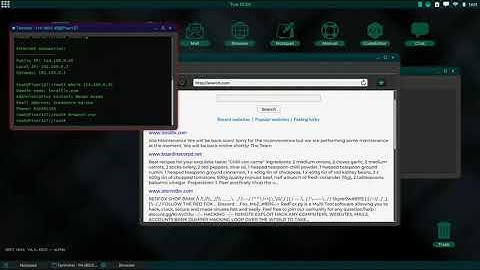 GreyHack - Website visit count reset exploit