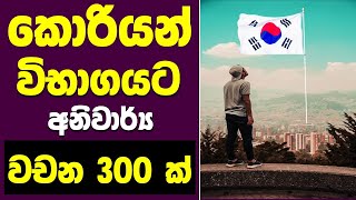 Learn Korean In Sinhala - කරයන පළපත දකහ පළමවන පඩම 30 තළ ඇත ඉත වදගත වචන 300 ක