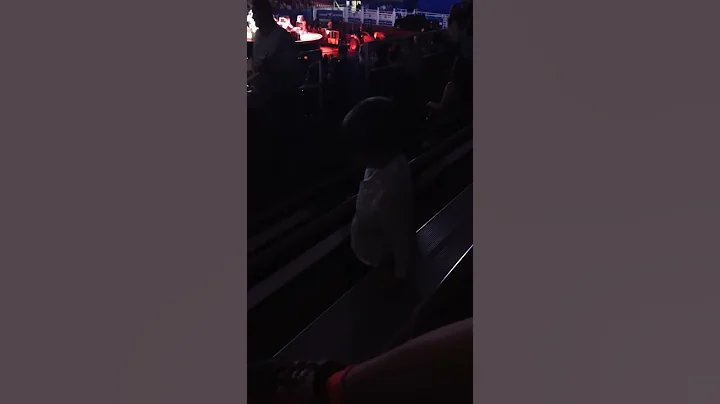 IMG 3726