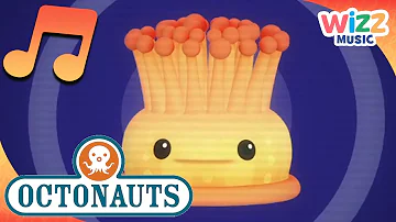 Ocean Creatures Songs for Kids | Octonauts | Wizz Music