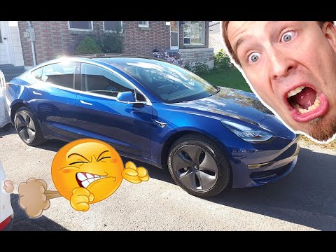 Ma Tesla pète! Et elle crie comme une chèvre aussi...