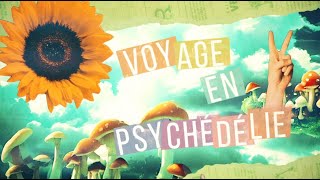 Découverte | Au coeur d'une thérapie psychédélique