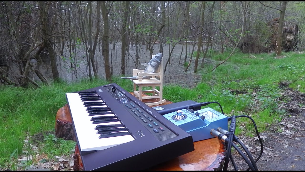 Synth in the forest #2 | Yamaha Reface DX + Zoom Ms 70 cdr