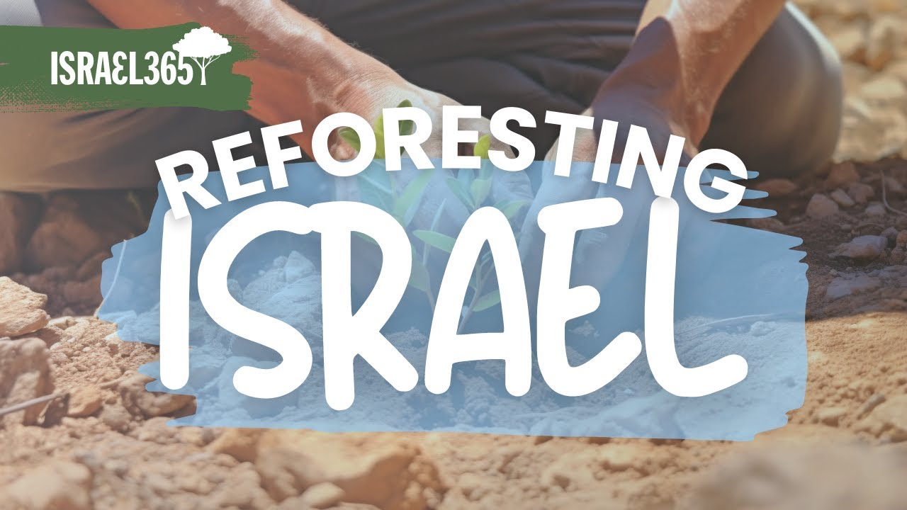 THANK YOU for planting trees with Rabbi Tuly Weisz and Israel365 in ...