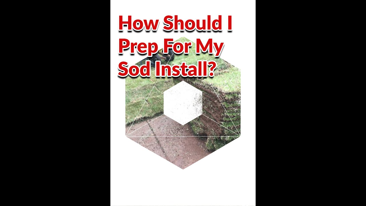 How Should I Prep For My Sod Install? | QuantumSod.com